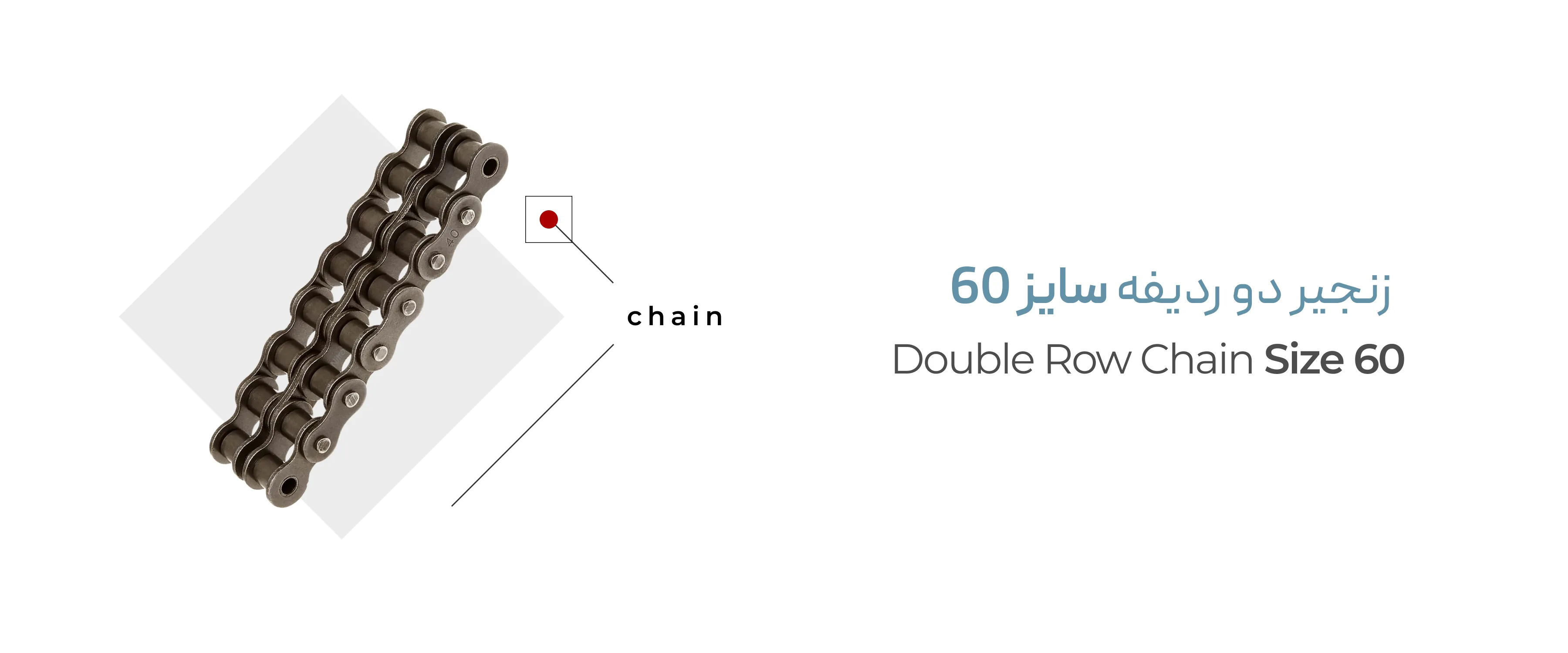 Double-row-chain-size-60