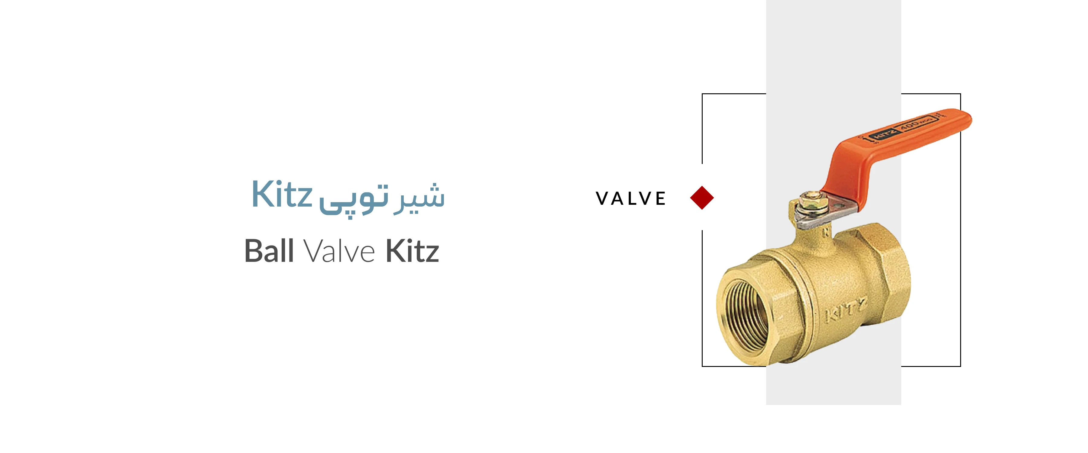 شیر توپی کیتز