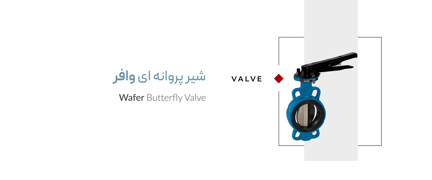 شیر پروانه ای وافر