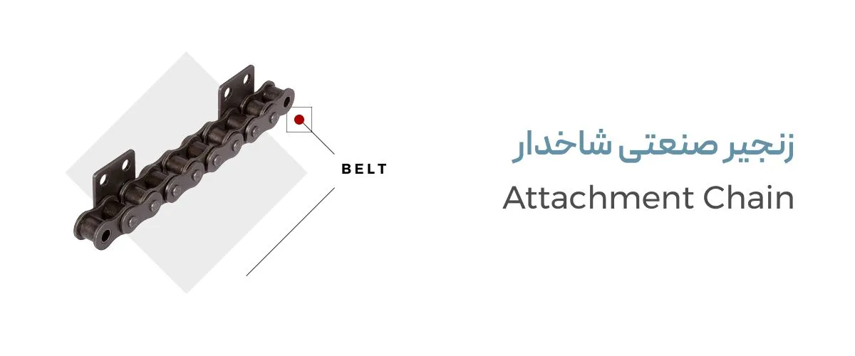 زنجیر شاخکدار صنعتی زنجیر شاخکدار صنعتی