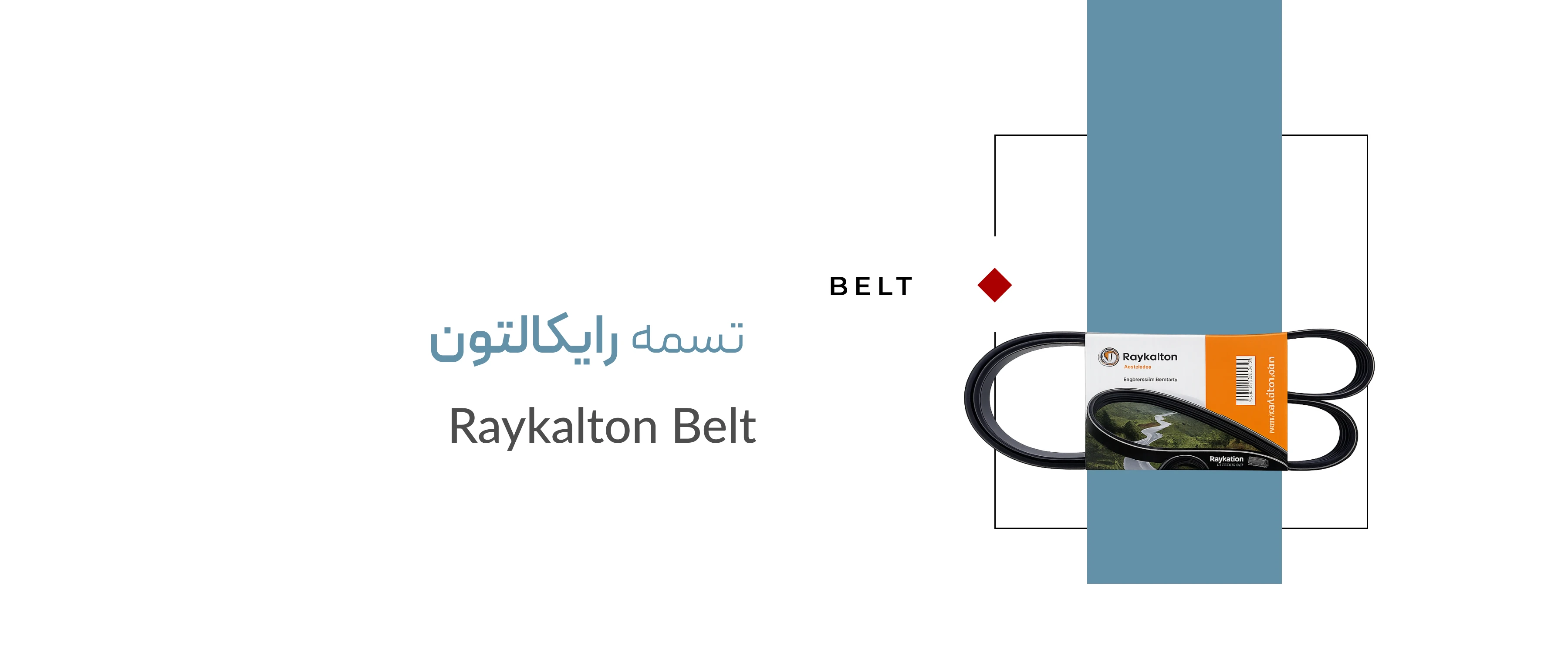 تسمه رایکالتون تسمه رایکالتون
