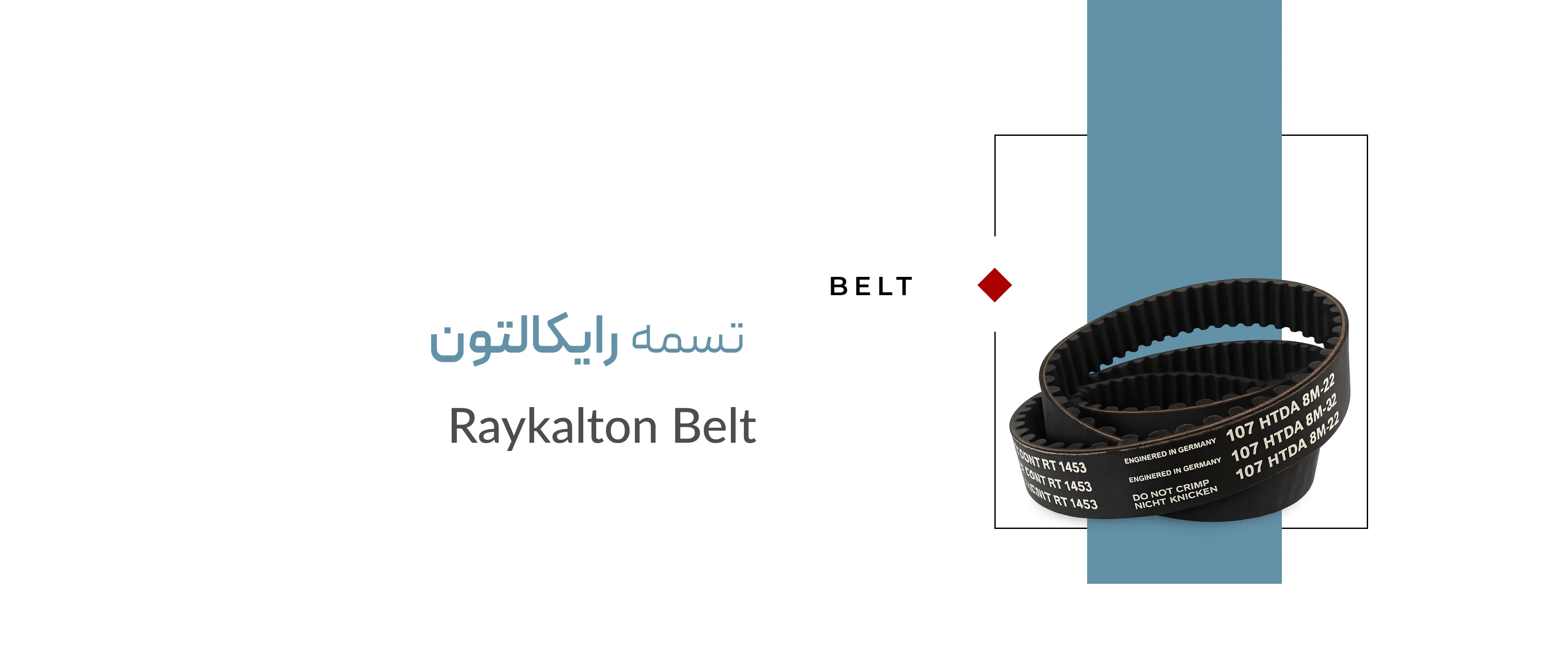 تسمه رایکالتون تسمه رایکالتون